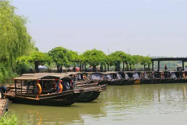 走進常熟沙家浜風景區(qū),游濕地逛老街休閑度假好去處