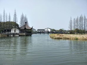 去了江蘇,不可錯過的旅游景點