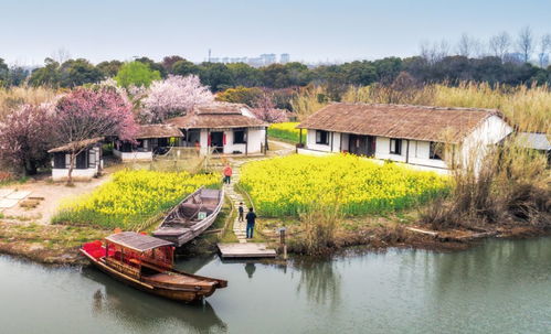 徐報(bào)融媒帶您 春游 了③ 春暖花開,別來(lái)無(wú)恙