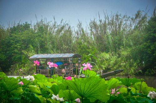 粽 情一夏 我市文旅市場(chǎng)逐漸復(fù)蘇回暖