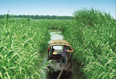 權(quán)威發(fā)布,常熟全市A級(jí)景區(qū)恢復(fù)對(duì)外開(kāi)放!