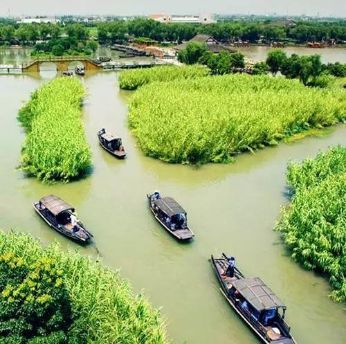 春色莫辜負(fù),常熟兩大景點(diǎn),沙家浜VS尚湖,哪個(gè)更值得一去?