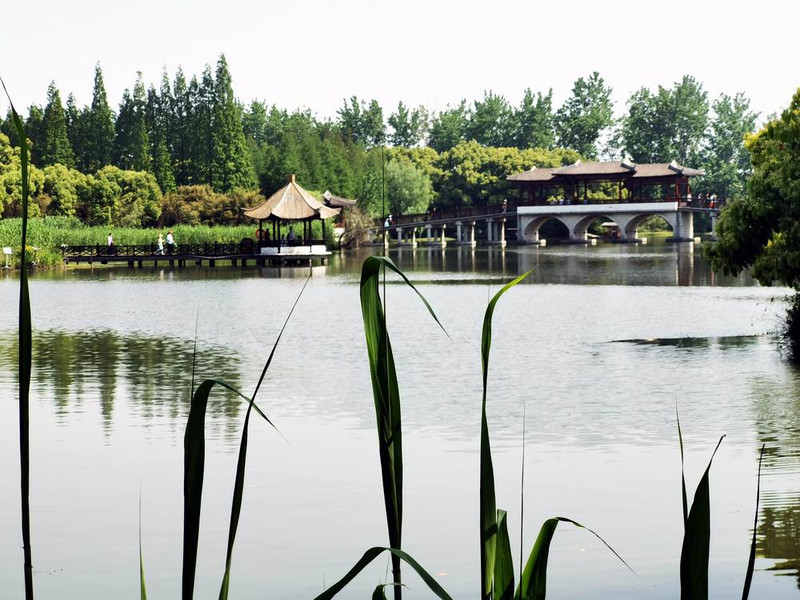 云游四海(1657)沙家浜