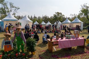 30天吸粉40萬，2019長(zhǎng)興島郊野公園兩節(jié)圓滿閉幕，沙家浜旅游再掀熱潮